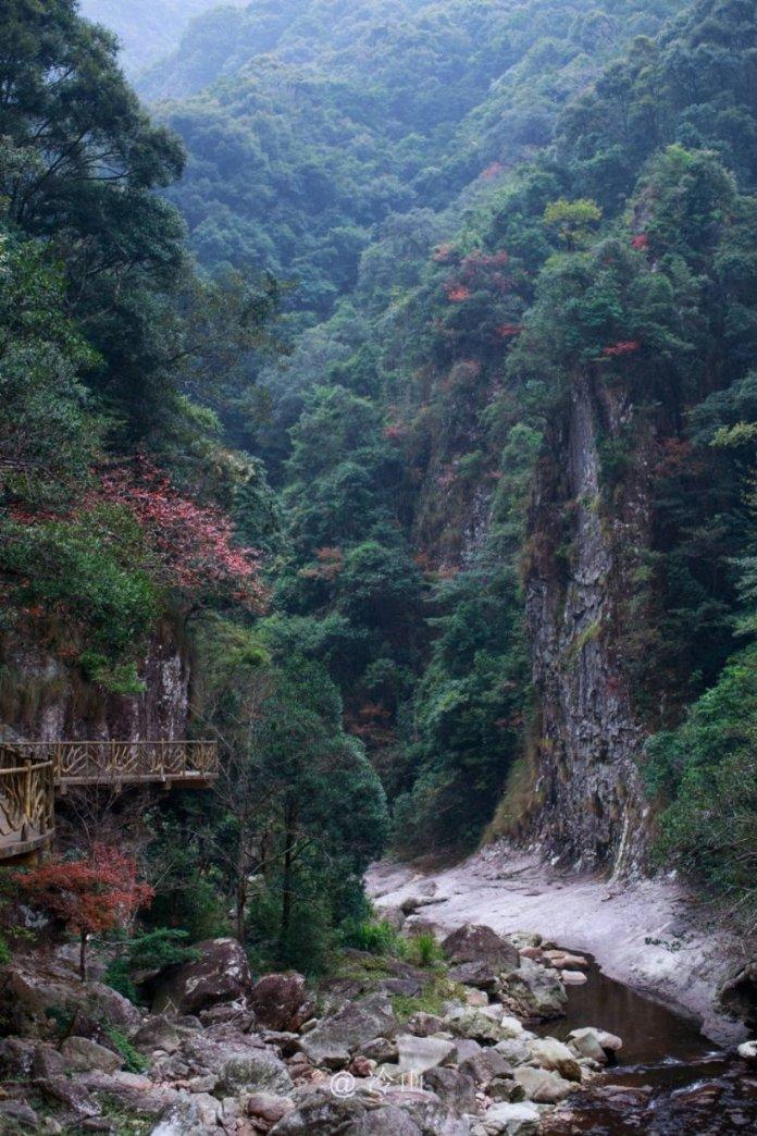 摆动小圆球